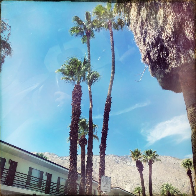 HipstamaticPhoto-556827997.486972