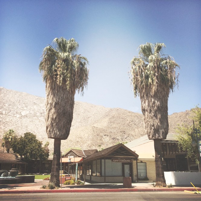 HipstamaticPhoto-556831060.861857