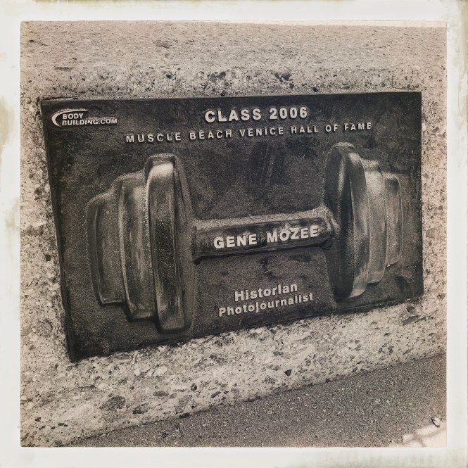 HipstamaticPhoto-556925097.560529