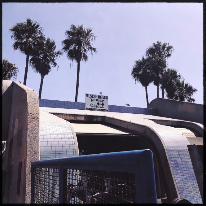 HipstamaticPhoto-556925108.474221