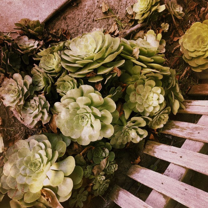 HipstamaticPhoto-556928301.754648