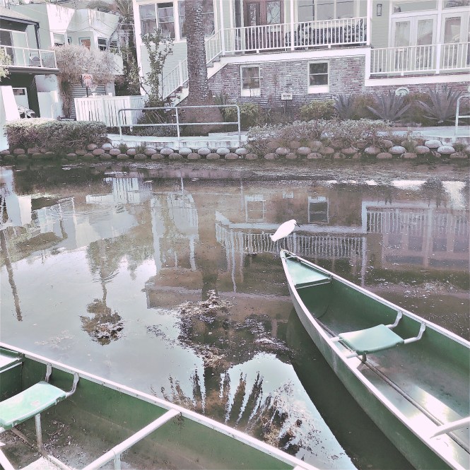 HipstamaticPhoto-556928933.996308