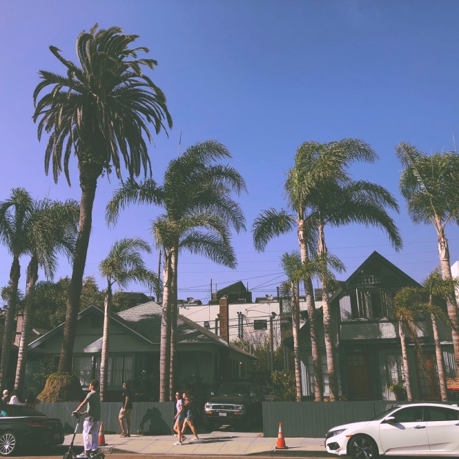 HipstamaticPhoto-556931630.430117