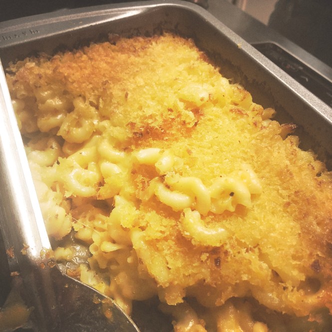 HipstamaticPhoto-556954645.623162 2.JPG