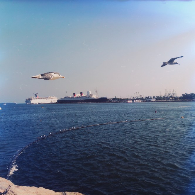 Photo 27-08-2018 00 42 04