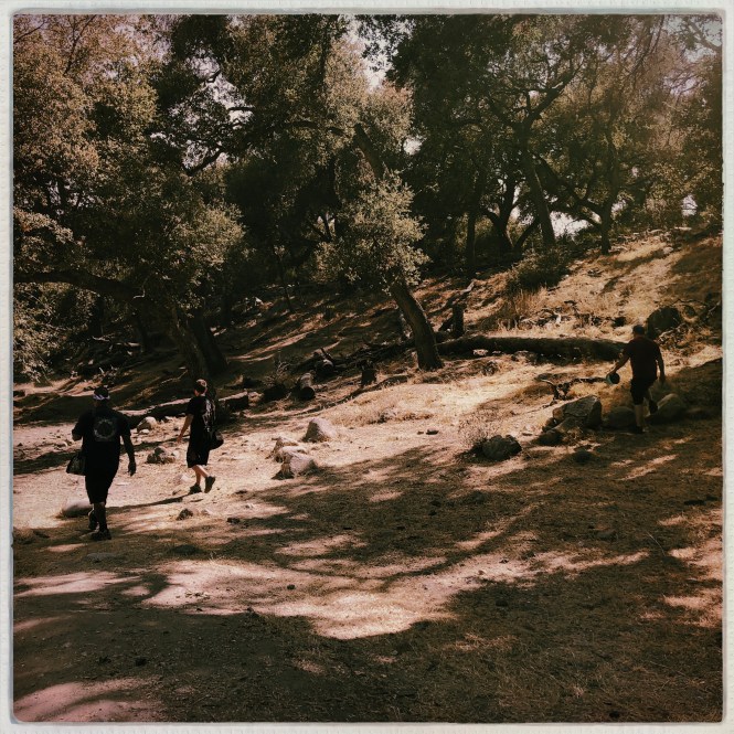 Photo 28-08-2018 00 09 58