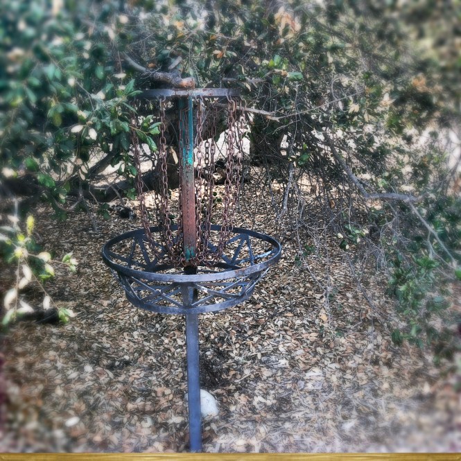 Photo 28-08-2018 00 42 43