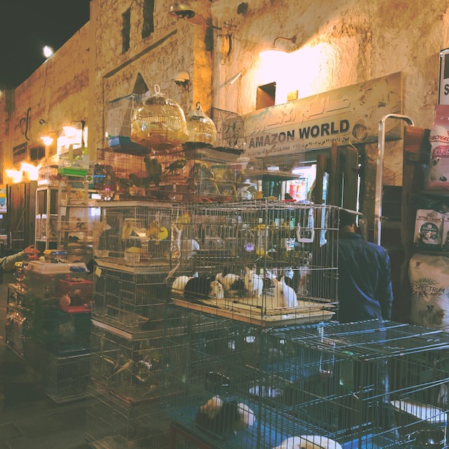 HipstamaticPhoto-565119060.886666