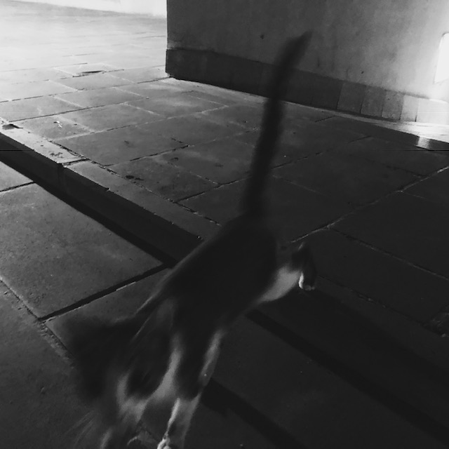 HipstamaticPhoto-565127463.094481