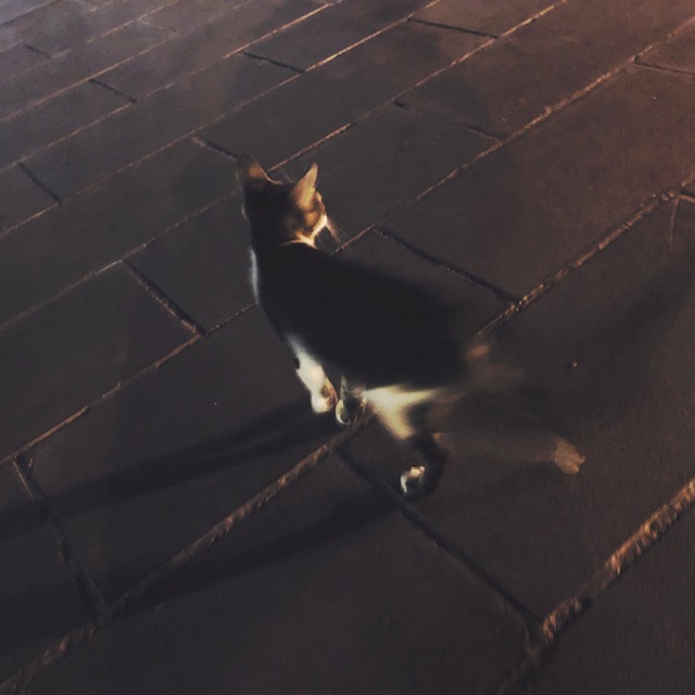 HipstamaticPhoto-565127466.796312