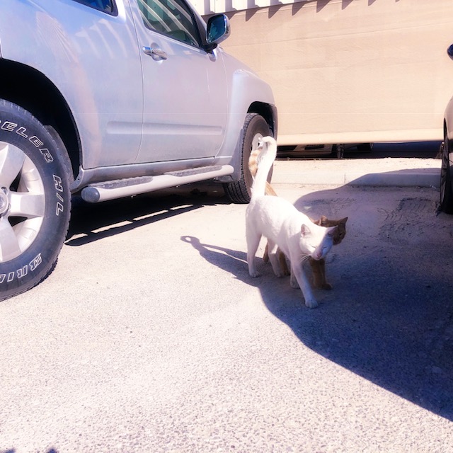 HipstamaticPhoto-565181045.752684