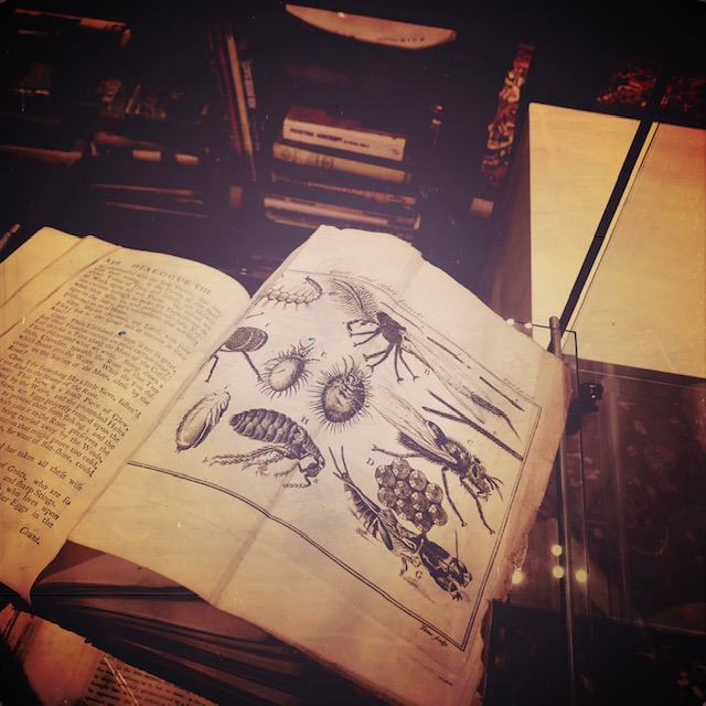 HipstamaticPhoto-565204121.946785